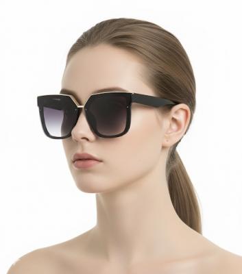 Toptan güneş gözlüğü New model 479